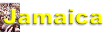 wp17c06ccf.png