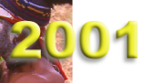 wp22e6cd22.png