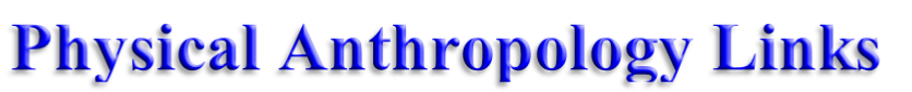 wp33ebb4ba.png