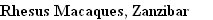 wp7f54e2b8.png